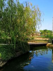 Bullion Park (D26), Condominium #579660591